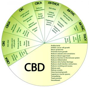 purchasing cbd oil online