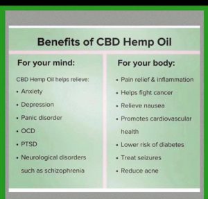 Best CBD Oil to buy and benefits