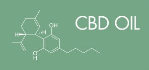 CBD Oil Where to buy