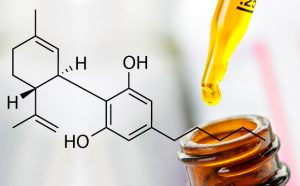 Purchase CBD Oil Online